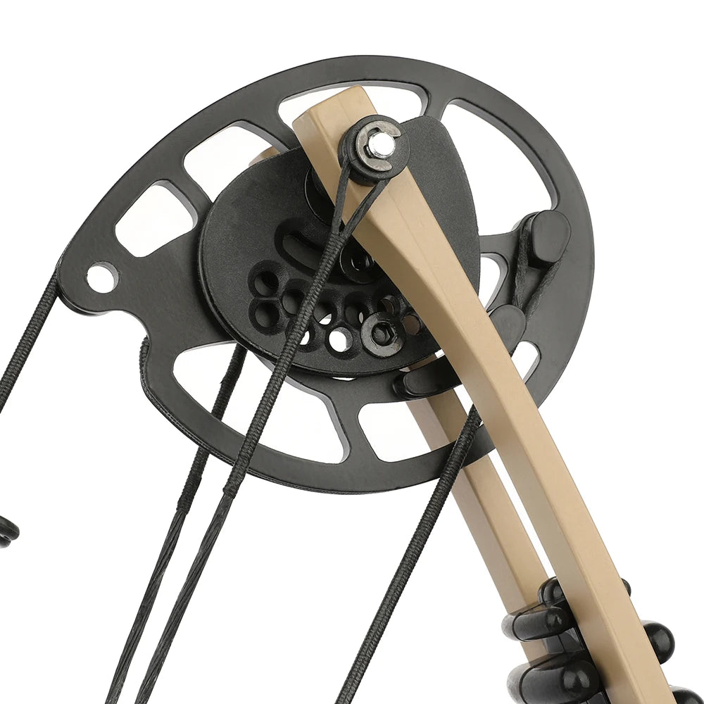 30-55lbs Adjustable Compound Bow Set Hunting Let-off 70% Carbon Arrows 310fps Archery Target Shooting Left/Right Accessories US