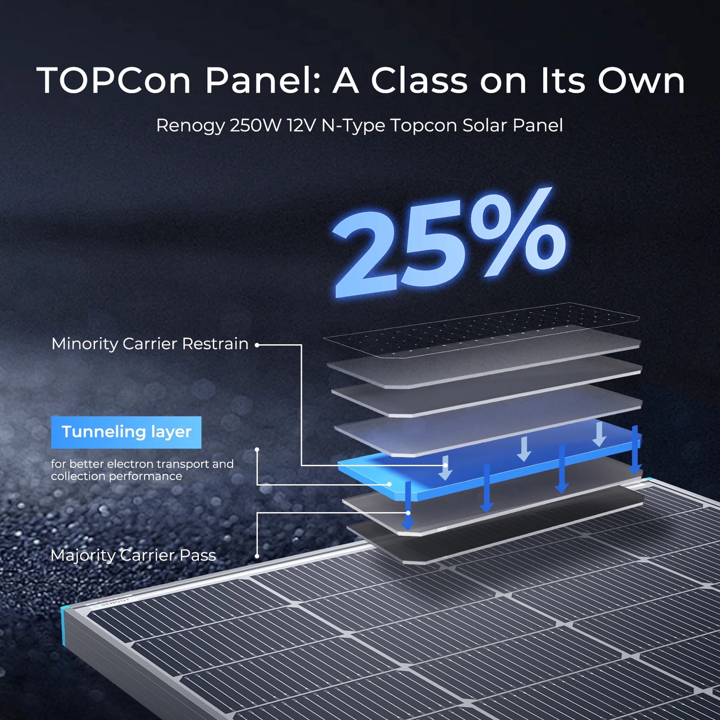Renogy N-Type 16BB 250W Bifacial Solar Panel, 12V 250 Watt Solar Panel Double-Side 25% High-Efficiency