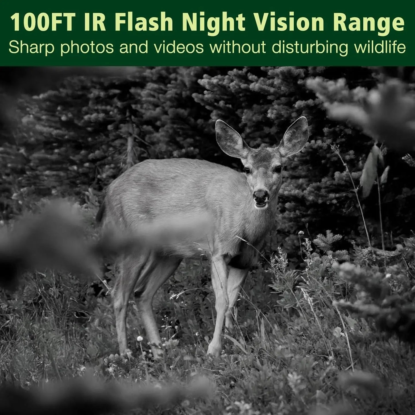 Trail Camera 4K 64MP WiFi Bluetooth, Night Vision Wildlife Hunting Camera, 0.1s Trigger, IP67 Waterproof, 130° Wide Angle